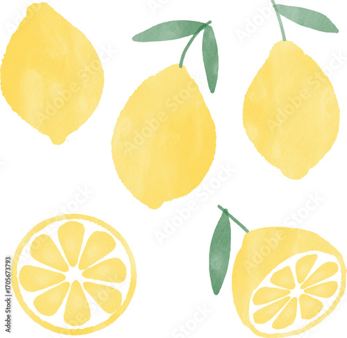 watercolor lemons illustration art set
