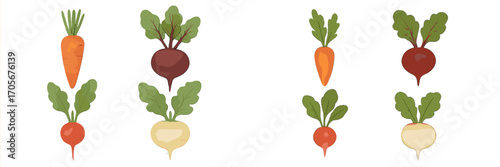 Colorful fresh organic root vegetables with green leaves including carrots beets radishes and turnips