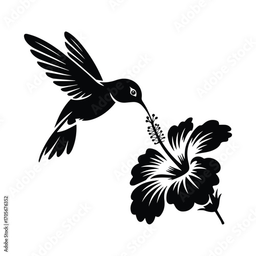 Silhouette of a hummingbird drinking nectar from a hibiscus flower in elegant black and white