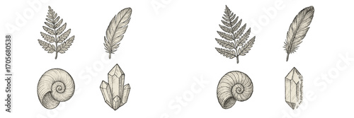 Botanical fern leaf, natural feather, spiral snail shell, and quartz crystal elements in organic hand-drawn style