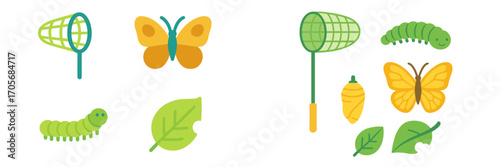 Butterfly life cycle elements including caterpillar chrysalis adult insect and net on a clean white background for educational design