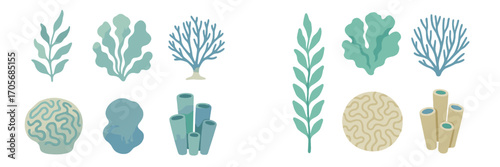 Diverse marine plants and coral reef elements in a stylized underwater environment, featuring vibrant aquatic flora and fauna