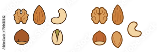 Assortment of popular healthy nuts and seeds including walnuts, almonds, cashews, hazelnuts, and pistachios for snack food