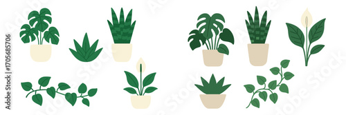 Various green houseplants in pots, such as monstera, snake plant, and peace lily, for interior design