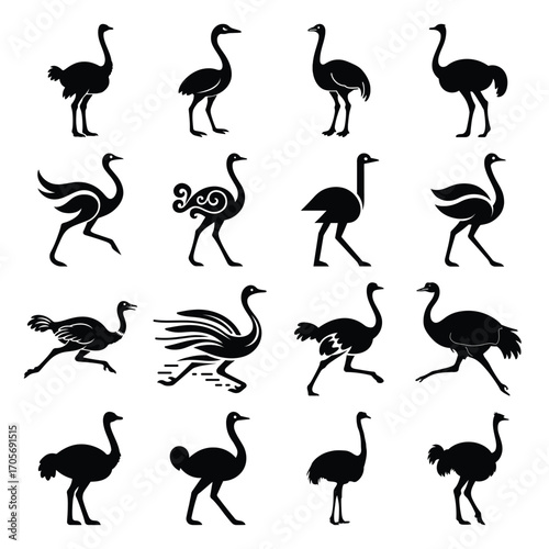 Ostrich Silhouette Vector Icon Set, Black Flightless Bird Illustrations