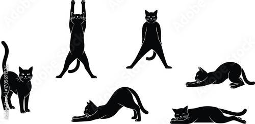 Black silhouette cats in various poses, feline stretching and relaxing positions, minimal vector set for pet behavior and yoga themes