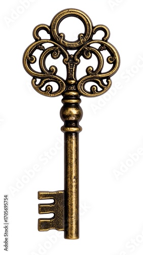 Ornate antique brass key, detailed carvings