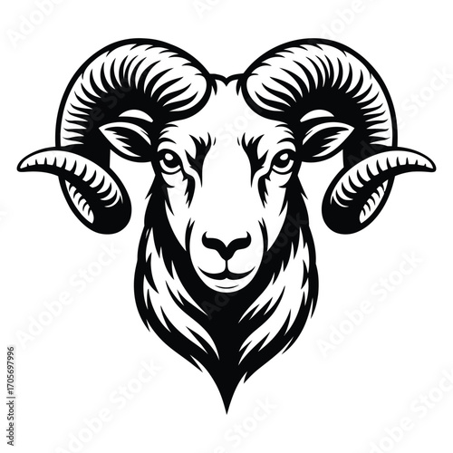 vector illustration of a goat
