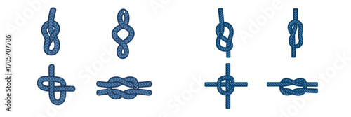 Detailed collection of various nautical and sailing knots and hitches, meticulously illustrated and isolated on a clean white background, showcasing traditional maritime ropework techniques