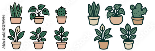 Various potted houseplants with diverse leaf shapes and cactus