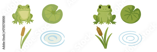 Two green frogs with lily pads and cattails on white