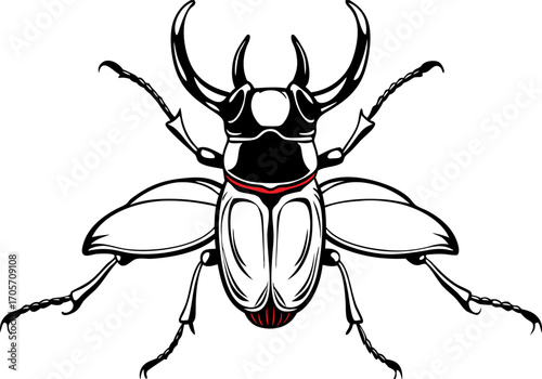Illustration of the rhinoceros beetle, or scientifically known as Oryctes rhinoceros, is an insect that is interesting and attracts the attention of farmers.
