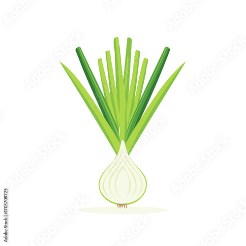 Sliced Spring Onion Illustration: Fresh Scallion with Green Stems, Flat Vector Style