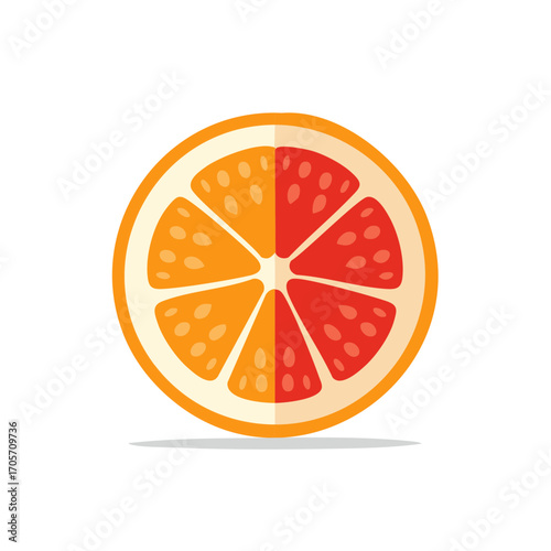 Colorful, symmetrical orange and red citrus fruit vector illustration.