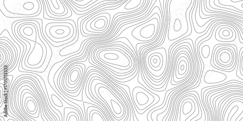Abstract luxury topography contour map grid pattern backdrop background. Vector illustration. wave Line topography map contour background. Illustrations of maps Abstract Geometric.	
