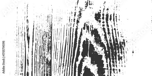 close-up view of rough black and white wood grain texture with horizontal lines and knot. White natural wood wall texture and background. Detailed macro view of felled tree trunk or stump