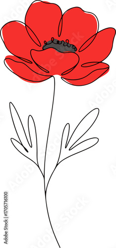 Minimalist Line Art Red Poppy Flower Isolated Floral Illustration