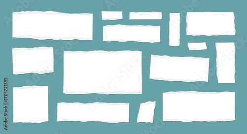 Collection of torn paper pieces on a teal background.