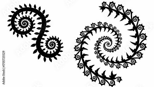 Two black spiral plant designs with leaves and thorns on a white background in a vector illustration silhouette