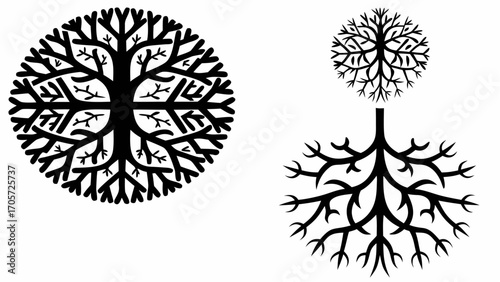 Two black gear wheels with internal snowflake design and root systems below on a white background silhouette