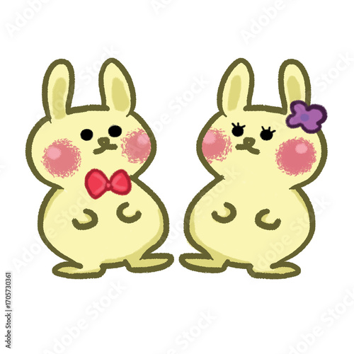 RABBIT BUNNY