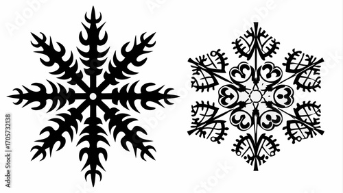 Two distinct snowflakes displayed in black and white showcasing unique intricate designs and patterns clearly silhouette