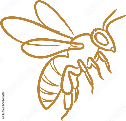 Elegant Honeybee Outline Illustration
