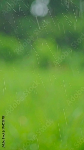 Soft-focus rain on a grassy area