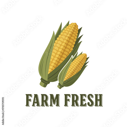  corn husk  farm fresh food organic green harvest maize