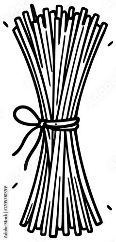 A bunch of spaghetti with a tie