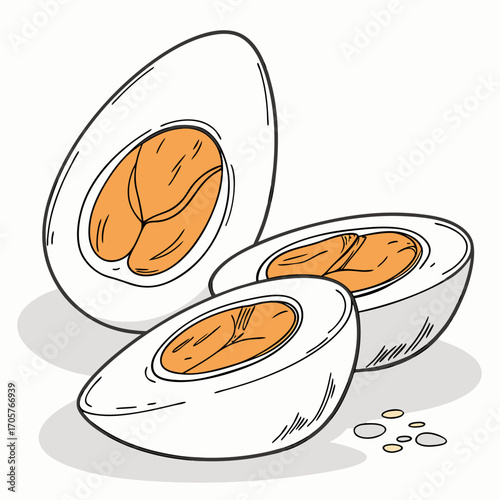 Halved salted duck eggs illustration with orange yolks and white egg whites on a white background for culinary designs
