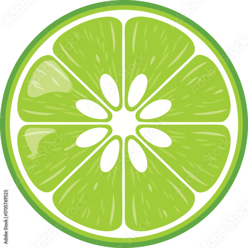 Fresh Lime Slice Illustration with Juicy Citrus Green Wedges, Bright Tropical Fruit Detail, and Vibrant Minimalist Design for Summer Food, Organic Branding, and Modern Decor