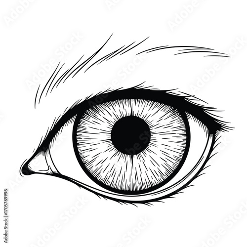 Detailed black and white handdrawn illustration of a single human eye with a radiating iris and eyebrow.