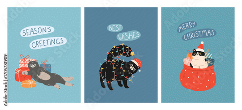 New Year and Christmas greeting cards with cute cats. Feline pets lying on gifts, decorated like a Christmas tree, sitting in bag with gifts. Cartoon flat design for celebration print, poster, banner