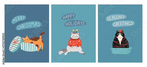 New Year and Christmas greeting cards with cute cats. Feline pets climbed into giftbox, sitting in sweater, decorated ribbon like a Christmas tree. Hand drawn cartoon design for holiday print, poster