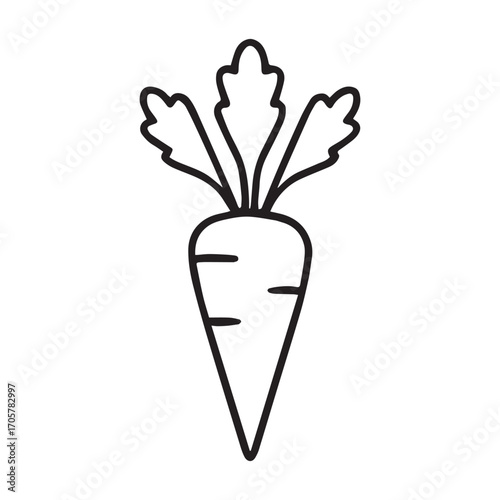 Farm fresh carrot bundle natural vegetable vector isolated on background