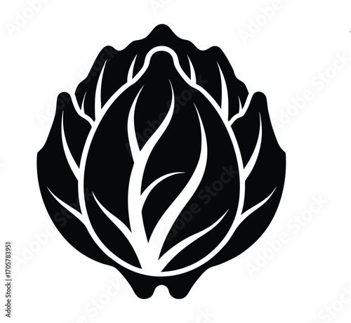 Close up of sliced radicchio showing intricate patterns and textures vector design