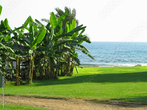 Beautiful landskape, palm trees and sun loungers at luxury resort
