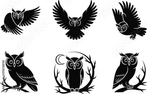Owl silhouette vector collection, flying and perched bird icons, nocturnal wildlife shapes design, forest animal graphics, isolated editable flat vector illustration