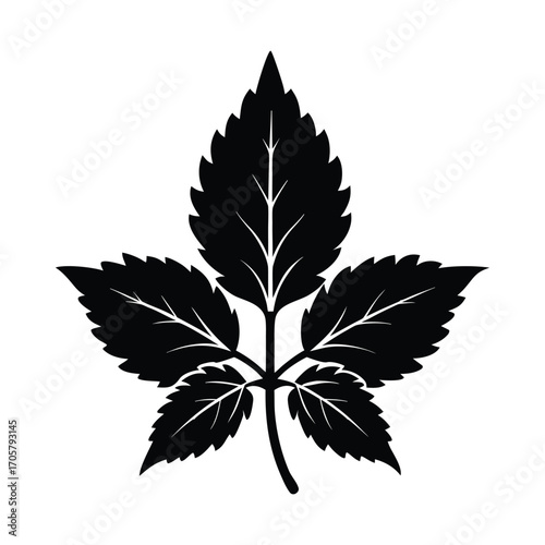 Decorative vector design featuring nettles for organic and herbal concepts