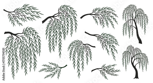 A collection of weeping willow branches and trees in a graphic style.