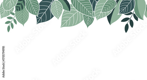 Gentle shades of green leaves form a natural border across the top.