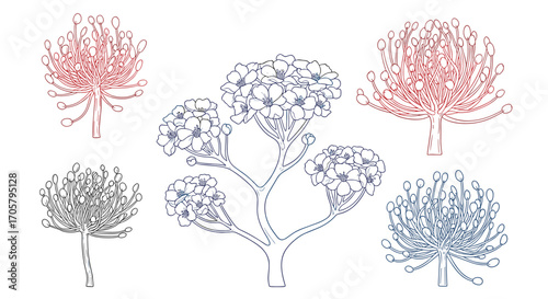 A beautiful collection of detailed botanical illustrations of flowers and plants.