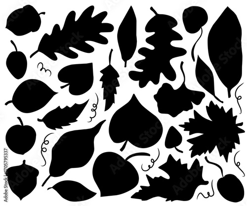 Autumn leaves silhouette collection featuring maple leaves, oak leaves, and acorn for fall vibes, seasonal decoration and pattern isolated on white background.