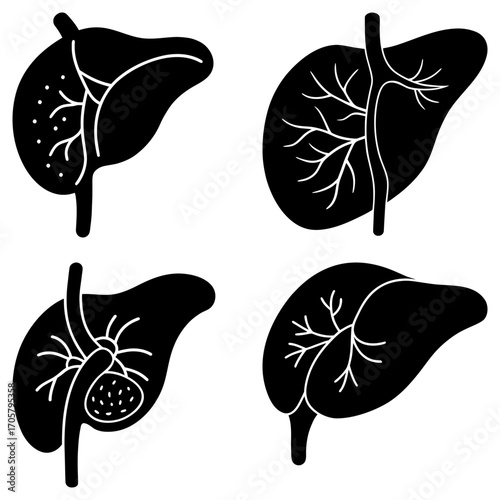 Four liver illustrations showing different anatomical views and conditions in black and white style design art