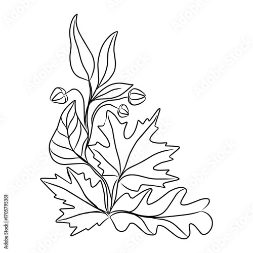 Hand-drawn of autumn leaves corner arrangement in minimalist lineart for corner design and border featured maple leaf and oak leaf.