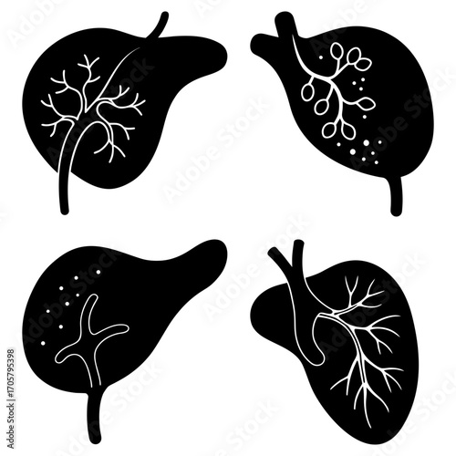 Four stylized liver illustrations with internal structures depicted in black and white color palette