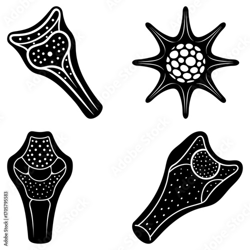 Illustration of four stylized black and white cells with varying internal structures and outer shapes