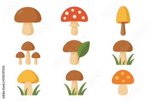Mushroom flat icon set. featuring fungi, toadstool, boletus, mycology, nature, botanical, and edible symbols