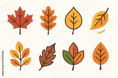 Autumn leaves flat icon set. maple, oak, birch, ginkgo, aspen, chestnut, beech, sycamore